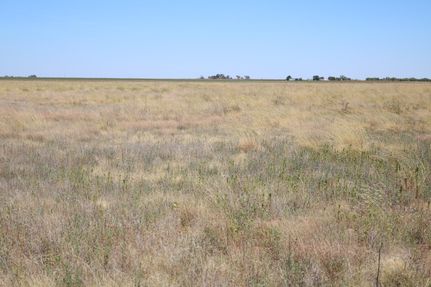Recreational Property in Lamb County, Texas