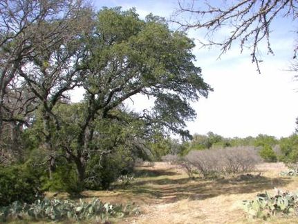 Farm and Ranch in Williamson County, Texas