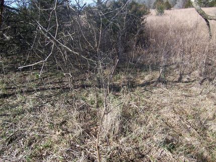 Farm and Ranch in Bourbon County, Kansas