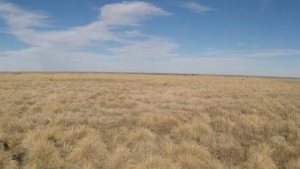 Land in Lamb County, Texas