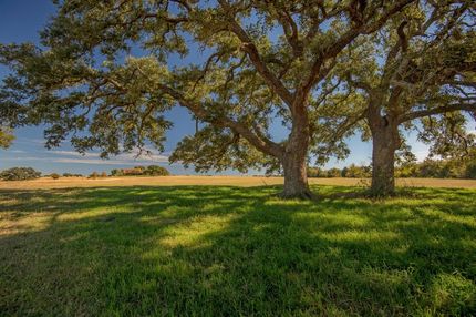 Timberland Property in Washington County, Texas