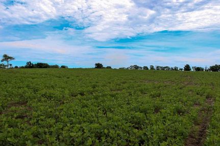 Farm and Ranch in Grundy County, Missouri