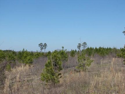 Timberland Property in Coal County, Oklahoma