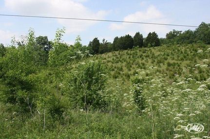 Farm and Ranch in Harrison County, Kentucky