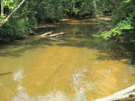 Farm and Ranch in Conecuh County, Alabama