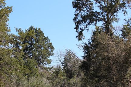 Farm and Ranch in Colorado County, Texas