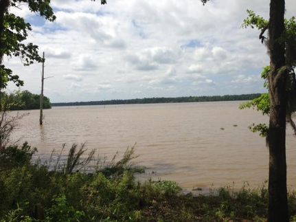 Recreational Property in Dallas County, Alabama