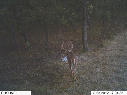 Farm and Ranch in Sullivan County, Missouri