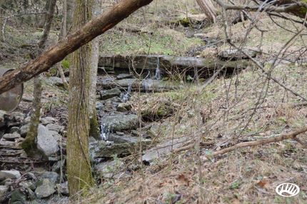 Farm and Ranch in Jackson County, Tennessee