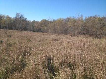 Homesite in Wyandotte County, Kansas