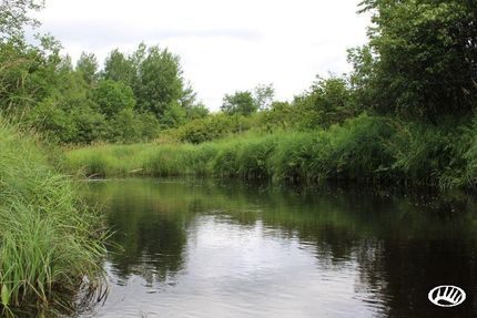 Land in Saint Louis County, Minnesota