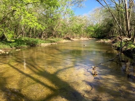 Timberland Property in Hickory County, Missouri