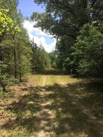 Farm and Ranch in Conecuh County, Alabama