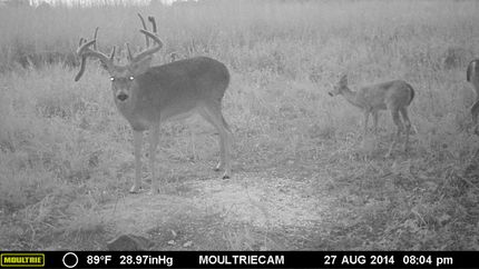 Farm and Ranch in Woodson County, Kansas