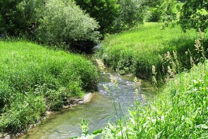 Recreational Property in Richland County, Wisconsin