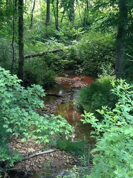 Recreational Property in Lee County, Alabama