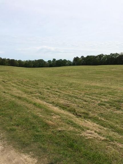 Land in Blount County, Alabama
