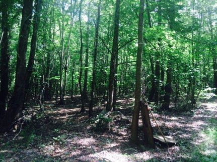 Farm and Ranch in Tallapoosa County, Alabama