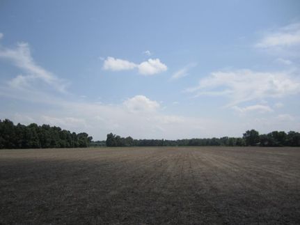 Undeveloped Land in Cherokee County, Kansas
