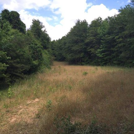 Farm and Ranch in Coffee County, Alabama