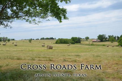 Farm and Ranch in Austin County, Texas