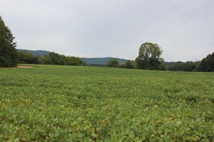 Land in Cherokee County, Alabama