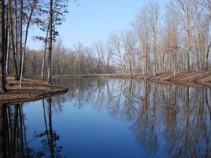 Farm and Ranch in Jefferson County, Illinois
