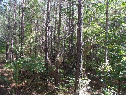 Land in Perry County, Alabama