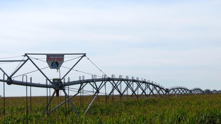 Farm and Ranch in Sherman County, Texas