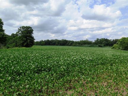 Farm and Ranch in Cullman County, Alabama