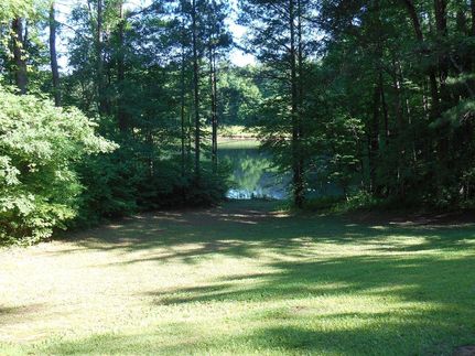 Timberland Property in Tallapoosa County, Alabama
