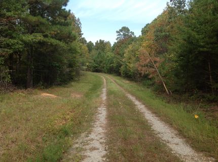 Recreational Property in Tuscaloosa County, Alabama