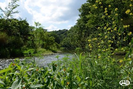 Farm and Ranch in Jo Daviess County, Illinois
