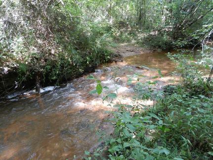 Farm and Ranch in Clay County, Alabama