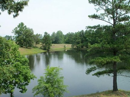 Recreational Property in Clay County, Alabama