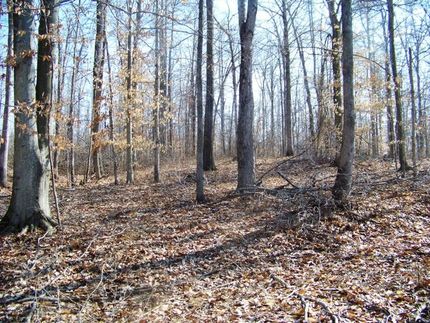 Land in Hopkins County, Kentucky