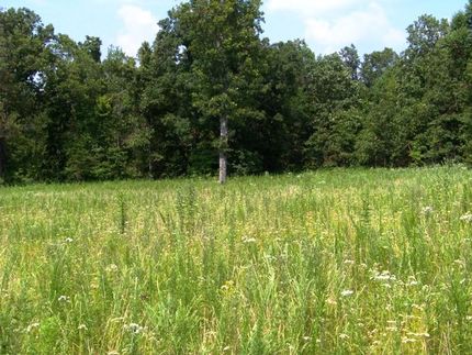 Farm and Ranch in Christian County, Kentucky