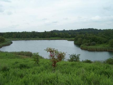 Farm and Ranch in Muhlenberg County, Kentucky