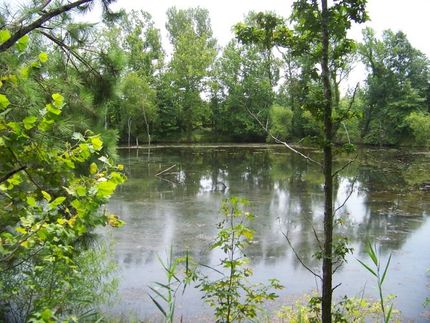 Farm and Ranch in Muhlenberg County, Kentucky