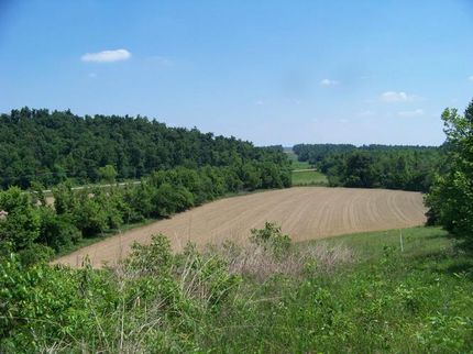 Land in Caldwell County, Kentucky