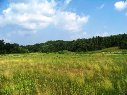 Farm and Ranch in Hopkins County, Kentucky