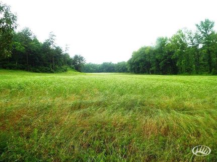 Farm and Ranch in Calloway County, Kentucky