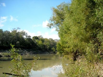 Timberland Property in Karnes County, Texas