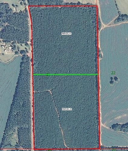 Land in Conecuh County, Alabama