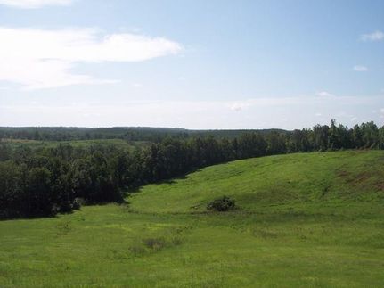 Farm and Ranch in Tallapoosa County, Alabama