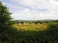 Farm and Ranch in Whatcom County, Washington