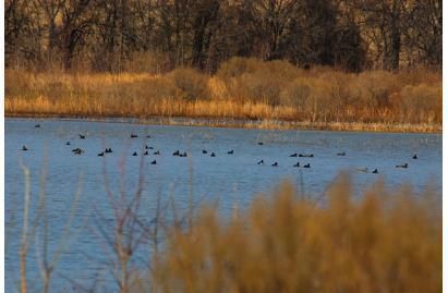 Farm and Ranch in Phillips County, Arkansas