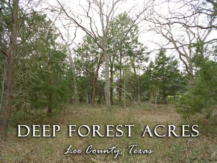 Farm and Ranch in Lee County, Texas