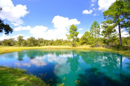 Land in Caldwell County, Texas