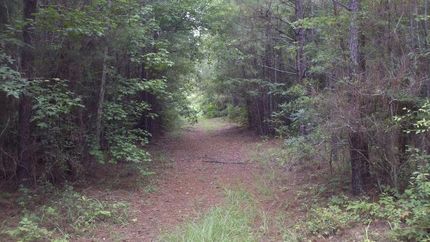 Land in Marengo County, Alabama